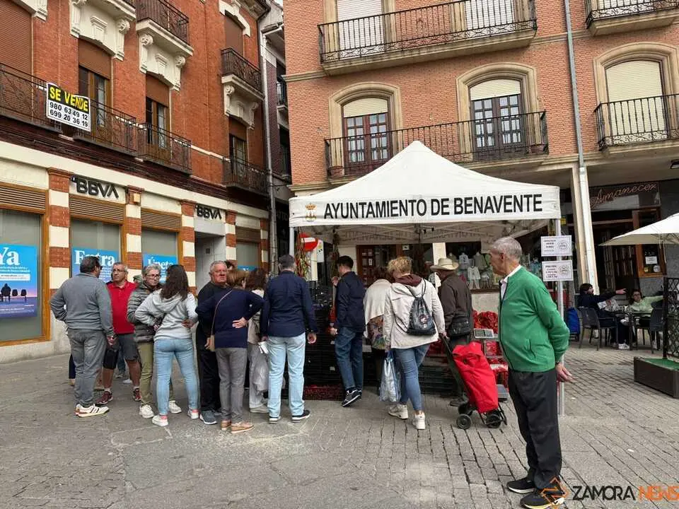 Feria del Pimiento en Benavente _11