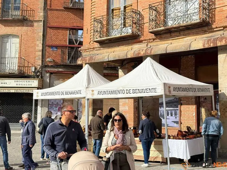 Feria del Pimiento en Benavente _12