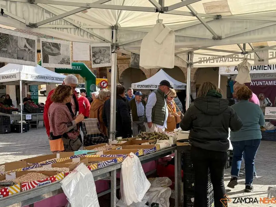 Feria del Pimiento en Benavente _15