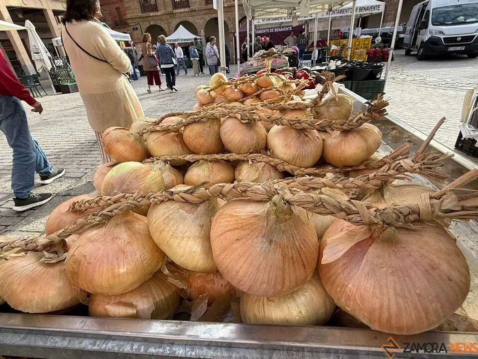 Feria del Pimiento en Benavente _16