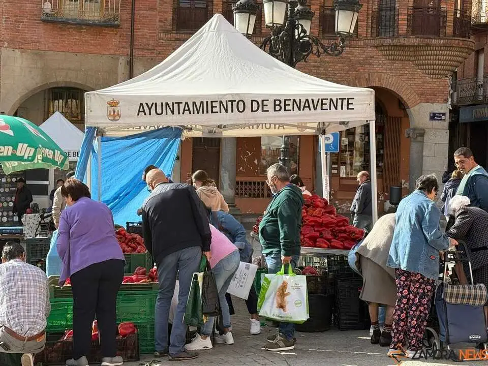 Feria del Pimiento en Benavente _17