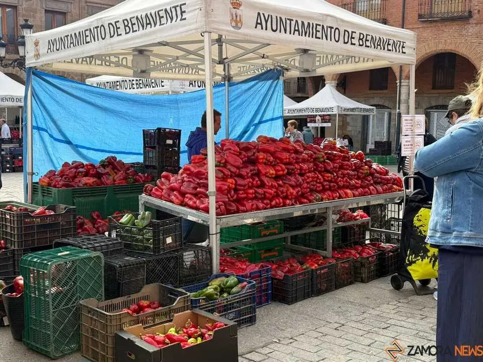 Feria del Pimiento en Benavente _18