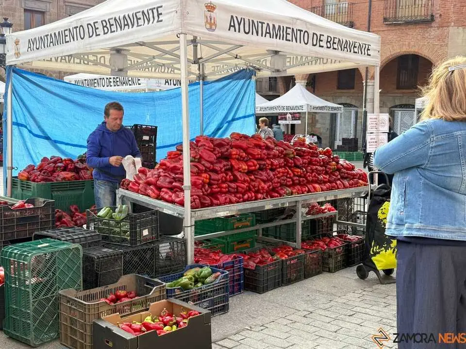 Feria del Pimiento en Benavente _19