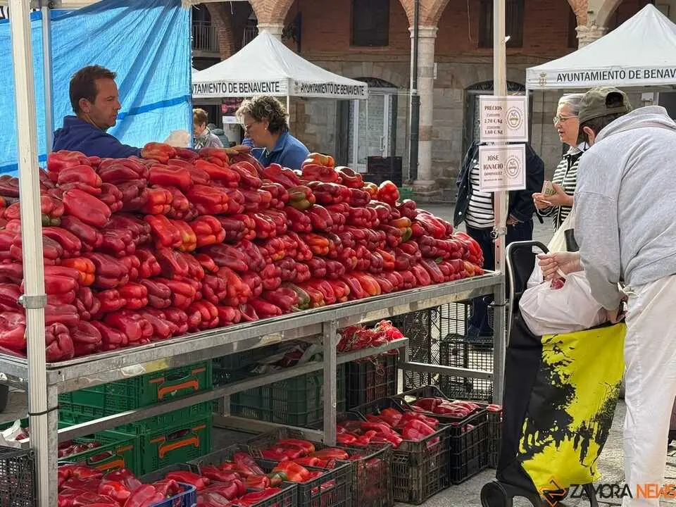 Feria del Pimiento en Benavente _20
