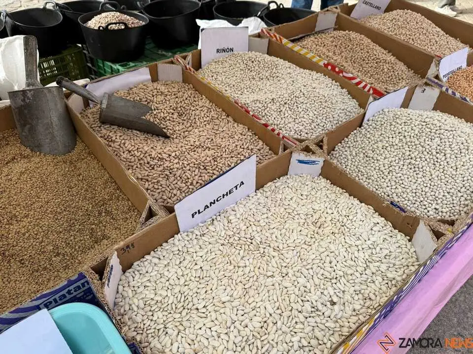Feria del Pimiento en Benavente _23