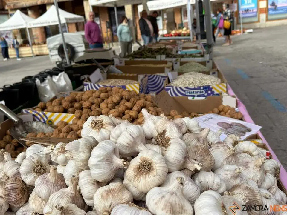 Feria del Pimiento en Benavente _24