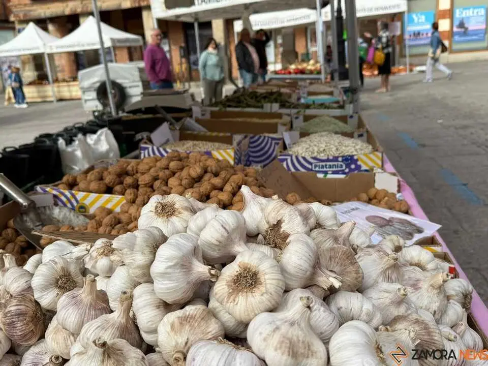 Feria del Pimiento en Benavente _25
