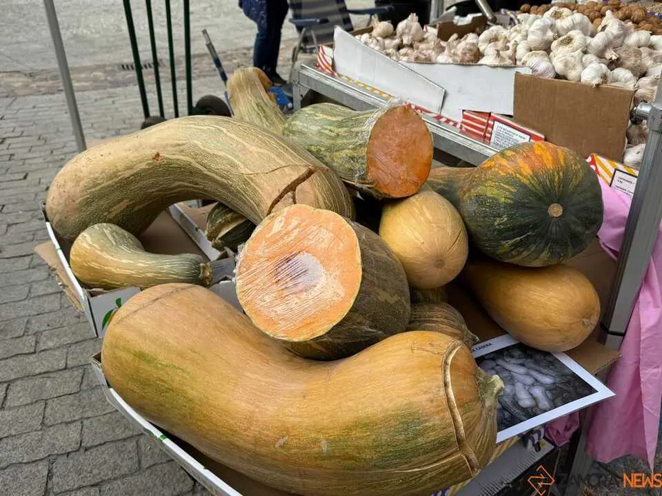 Feria del Pimiento en Benavente _30