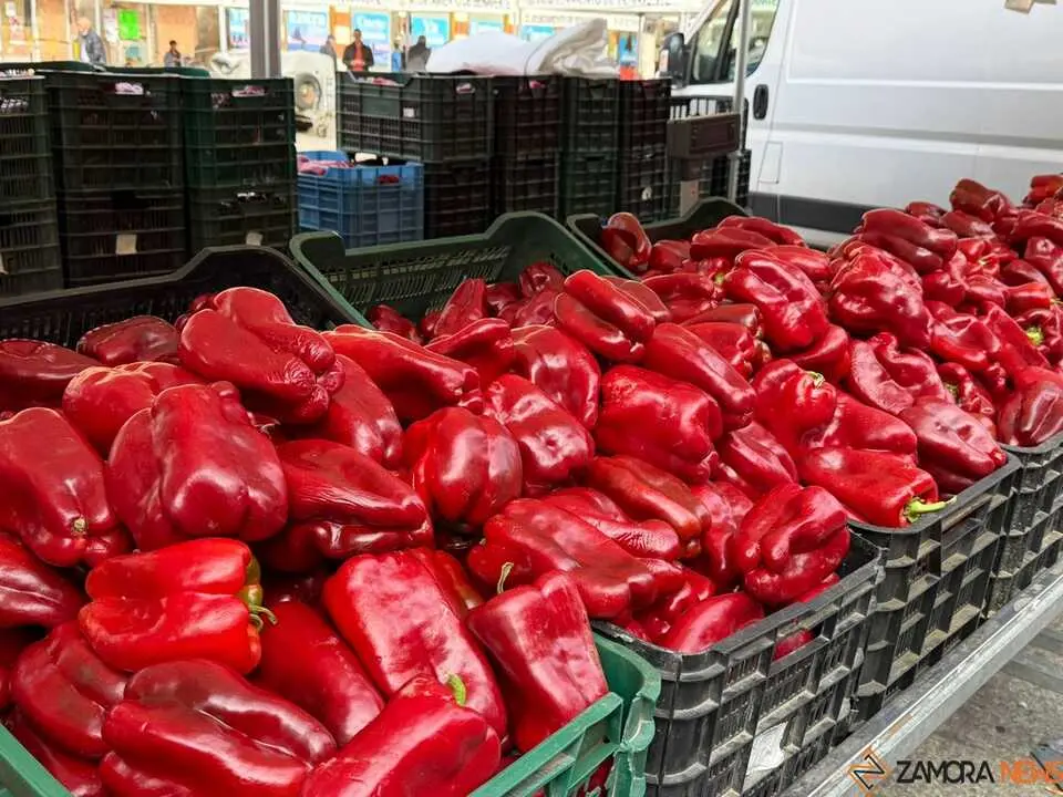 Feria del Pimiento en Benavente _37