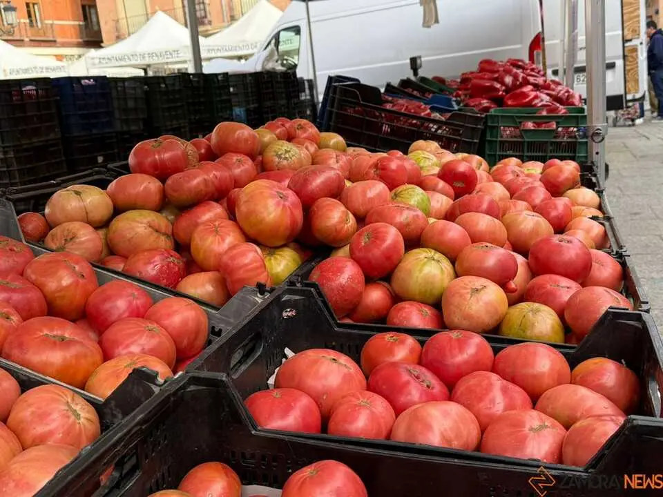 Feria del Pimiento en Benavente _38