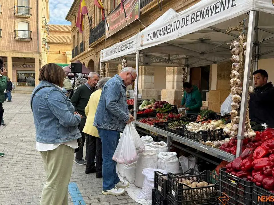 Feria del Pimiento en Benavente _40