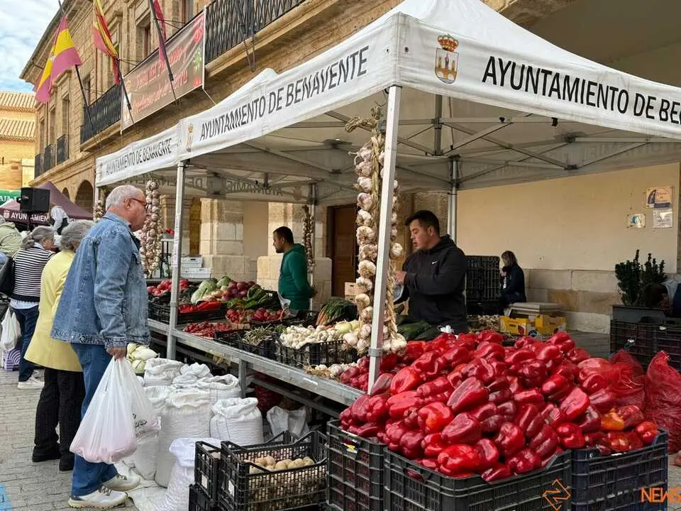 Feria del Pimiento en Benavente _41