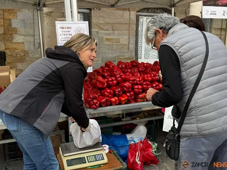 Feria del Pimiento en Benavente _44