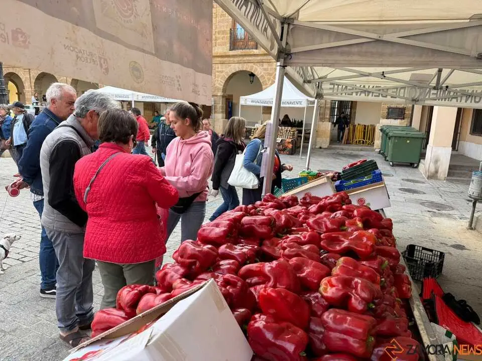 Feria del Pimiento en Benavente _47