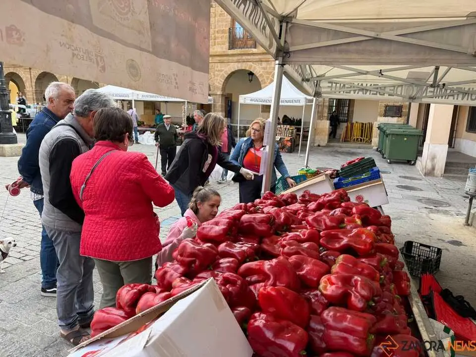 Feria del Pimiento en Benavente _48
