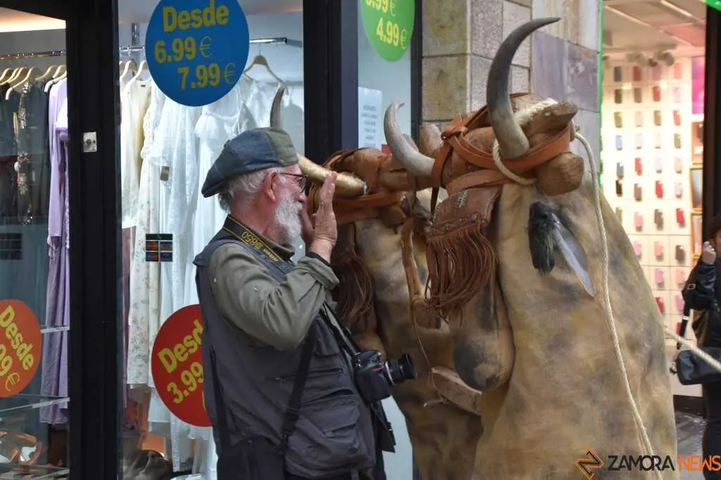 Mascarada Zamora Desfile _11