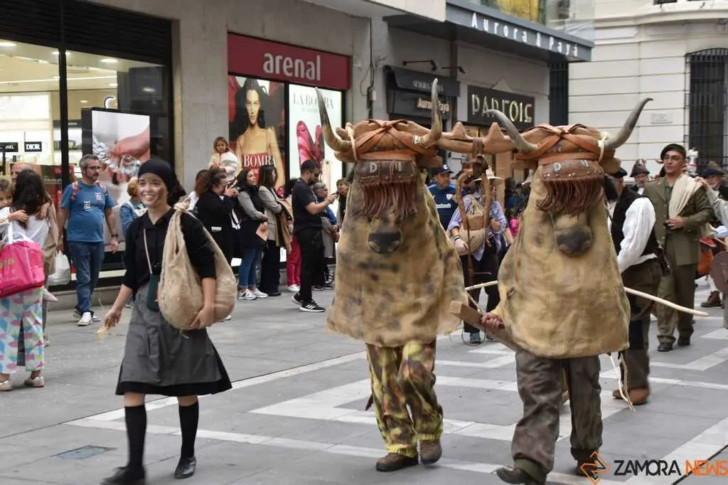 Mascarada Zamora Desfile _15