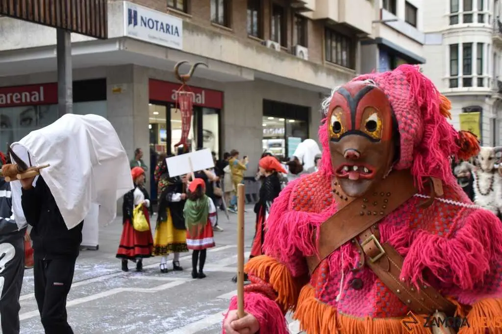 Mascarada Zamora Desfile _65