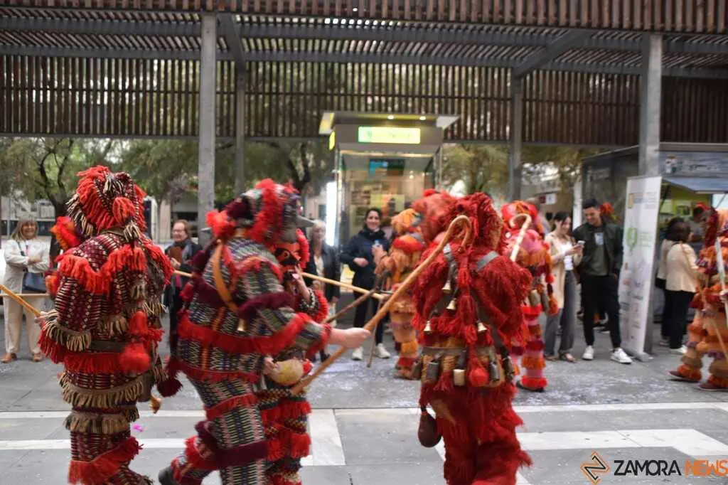 Mascarada Zamora Desfile _68