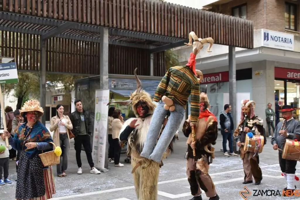 Mascarada Zamora Desfile _76