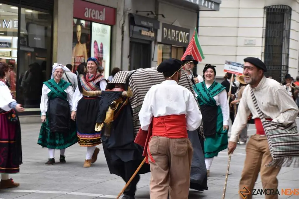 Mascarada Zamora Desfile _125