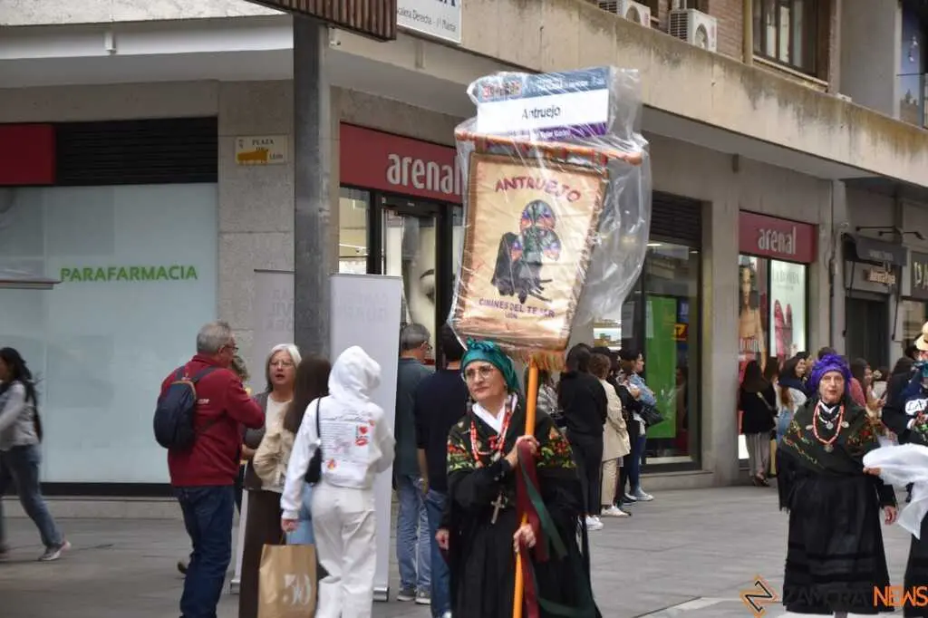 Mascarada Zamora Desfile _144