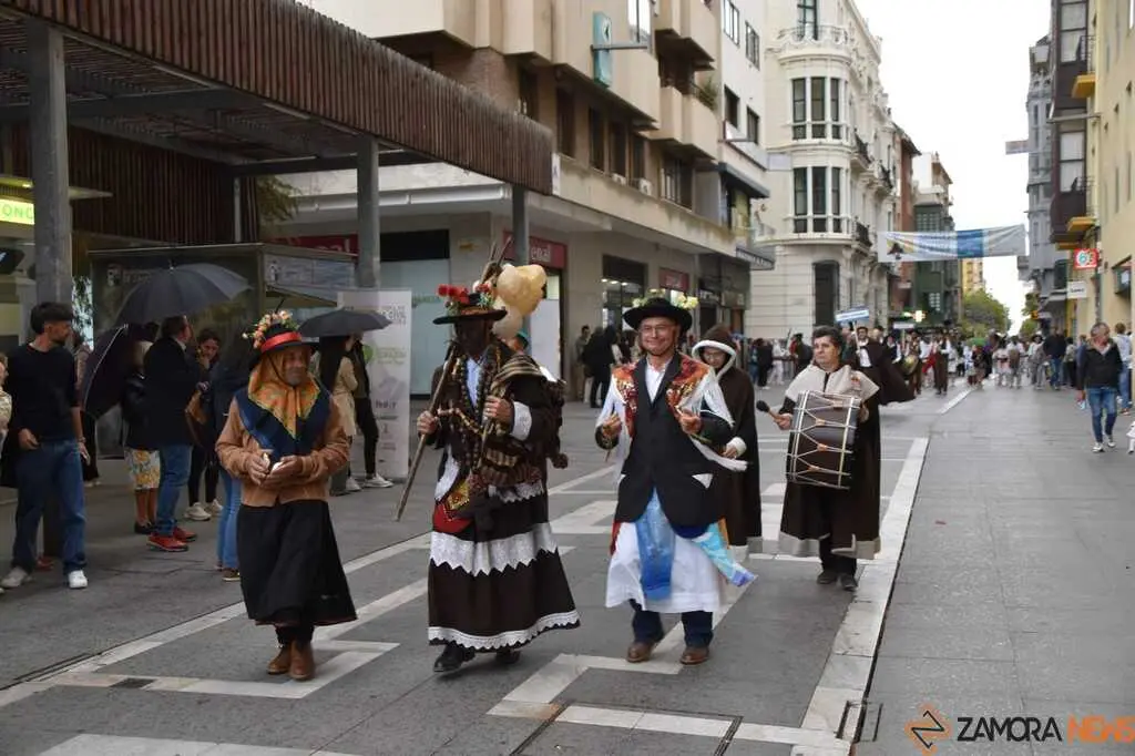 Mascarada Zamora Desfile _160