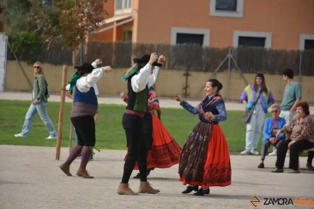 lucha y don sancho_77