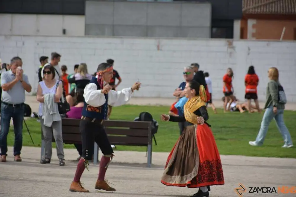 lucha y don sancho_79