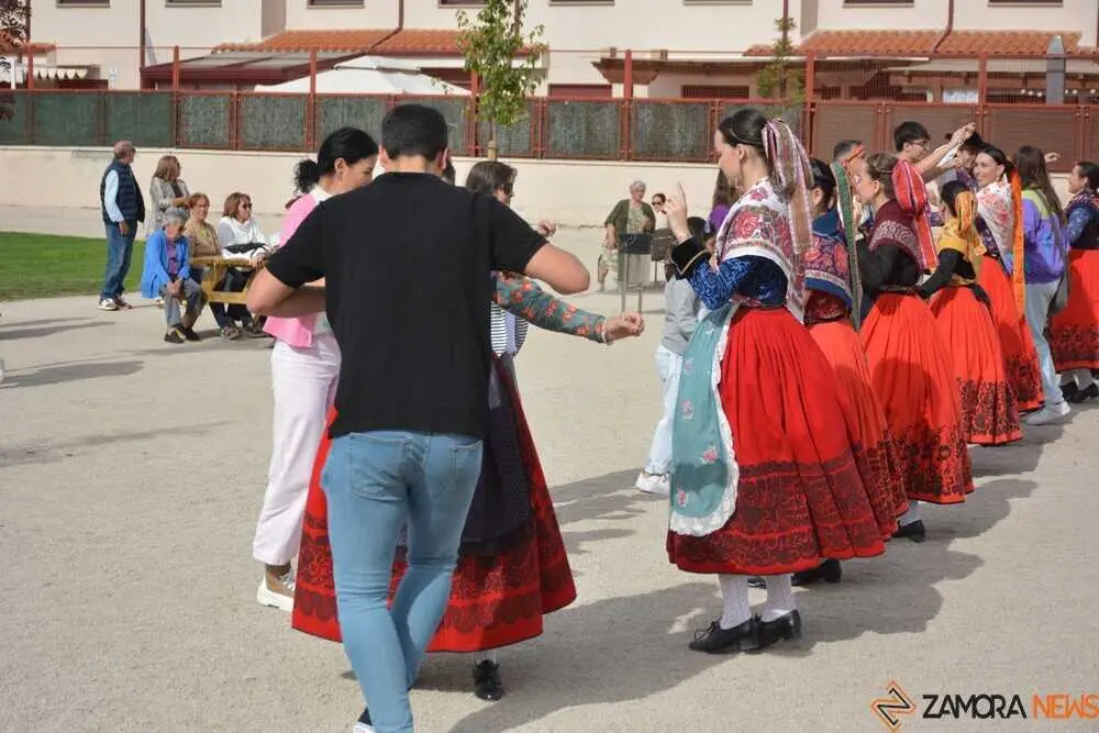 lucha y don sancho_92