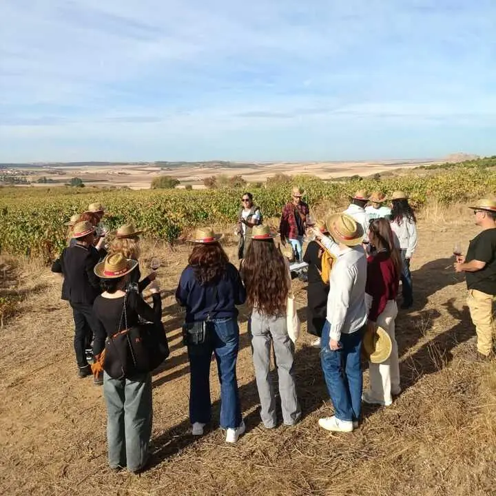 Jornada de Puertas Abiertas Ruta del Vino de Toro - imagen redes