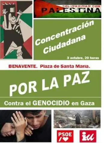 concentración palestina benavente