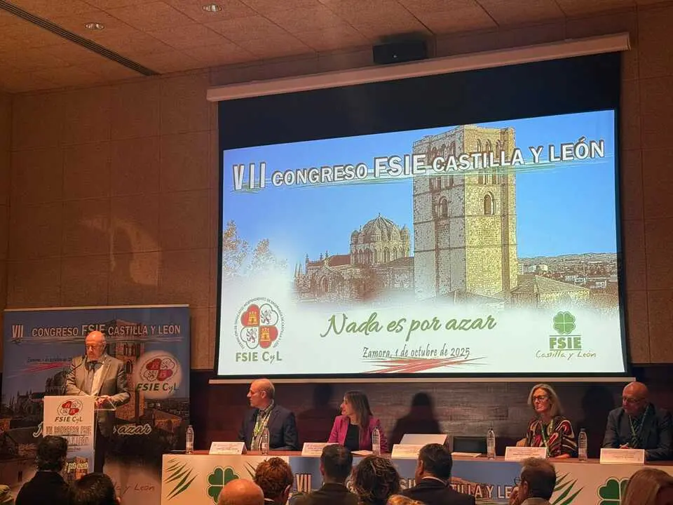 Federación de Sindicatos Independientes de Enseñanza (FSIE) de Castilla y León