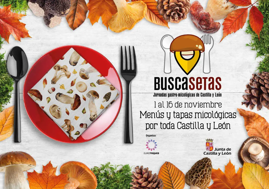 Cartel de las Jornadas