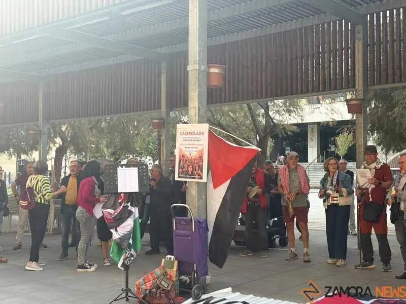 cacerolada en Zamora _10