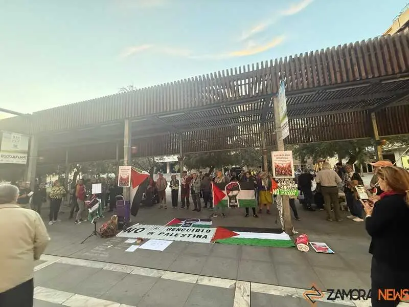 cacerolada en Zamora _11