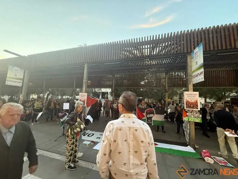 cacerolada en Zamora _16