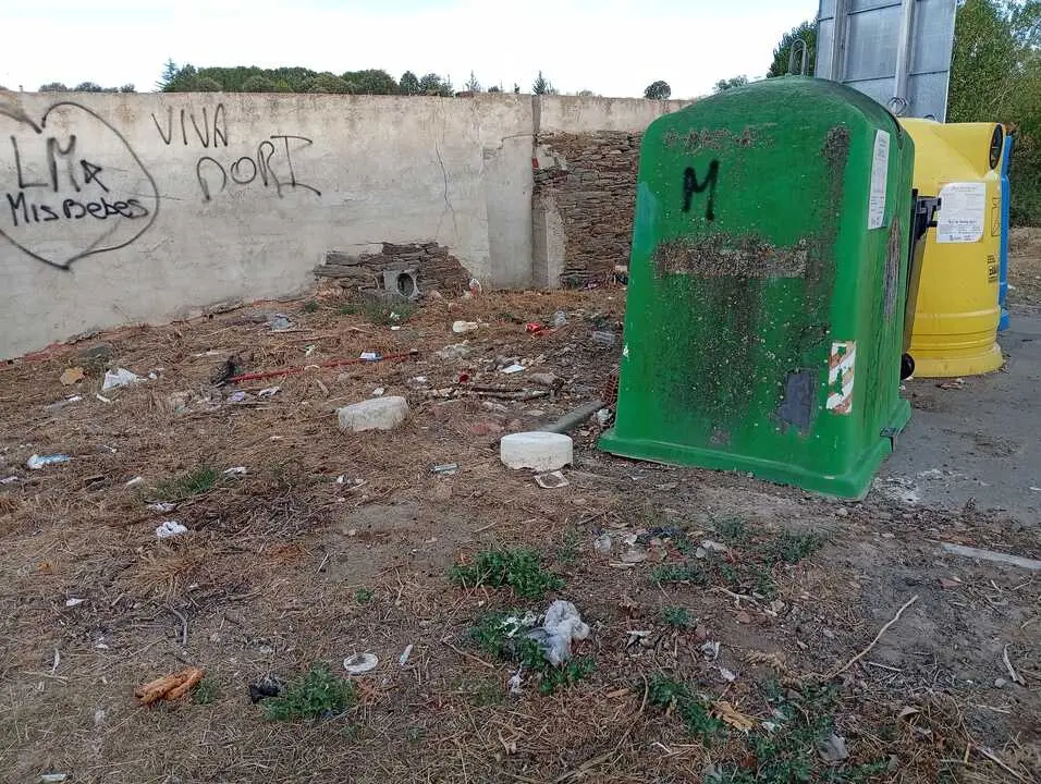 limpieza carrascal zamora si