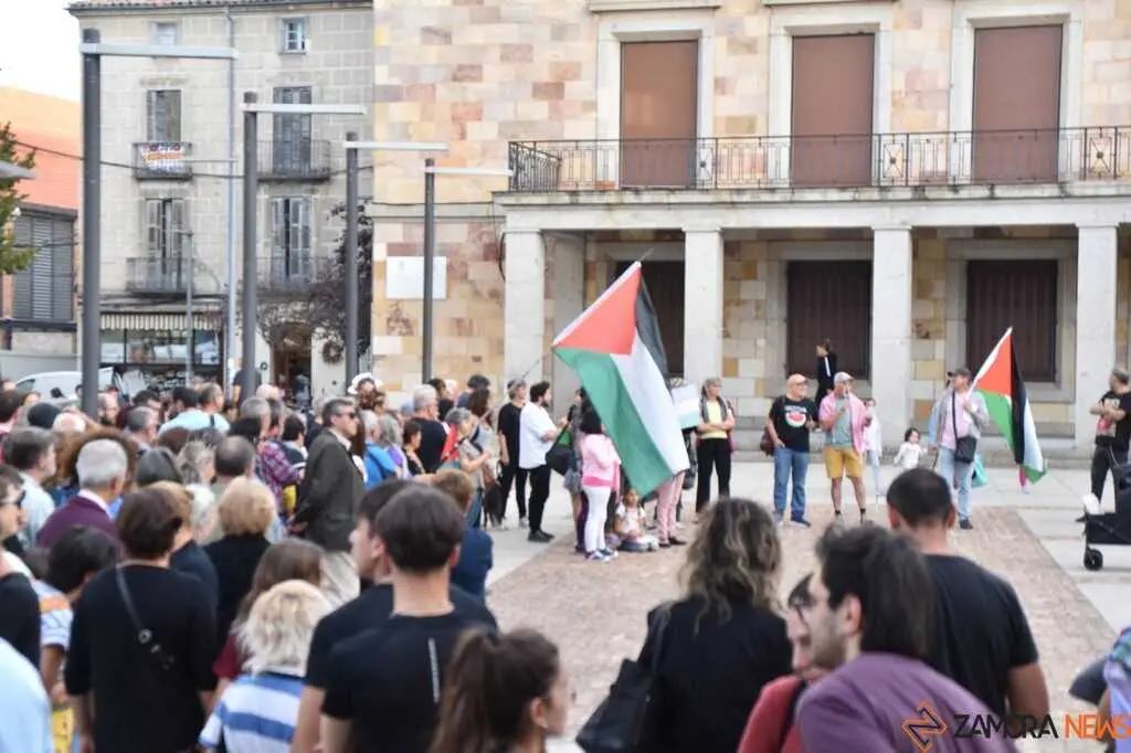 Protesta pro palestina Zamora _11