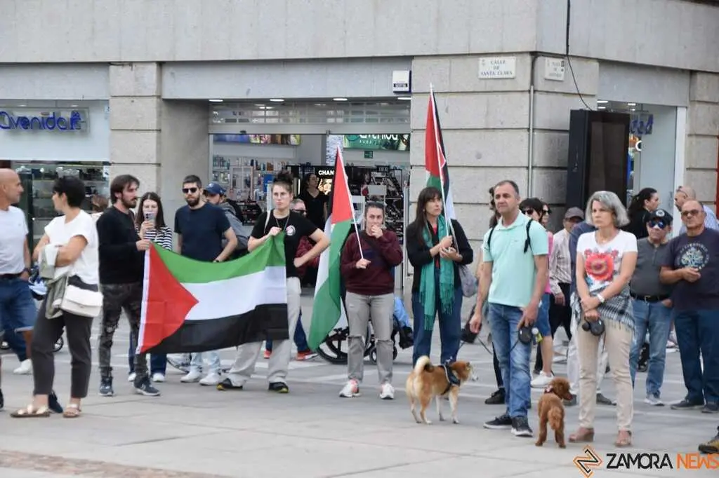 Protesta pro palestina Zamora _17