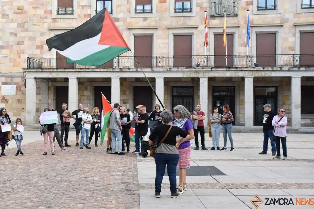 Protesta pro palestina Zamora _18