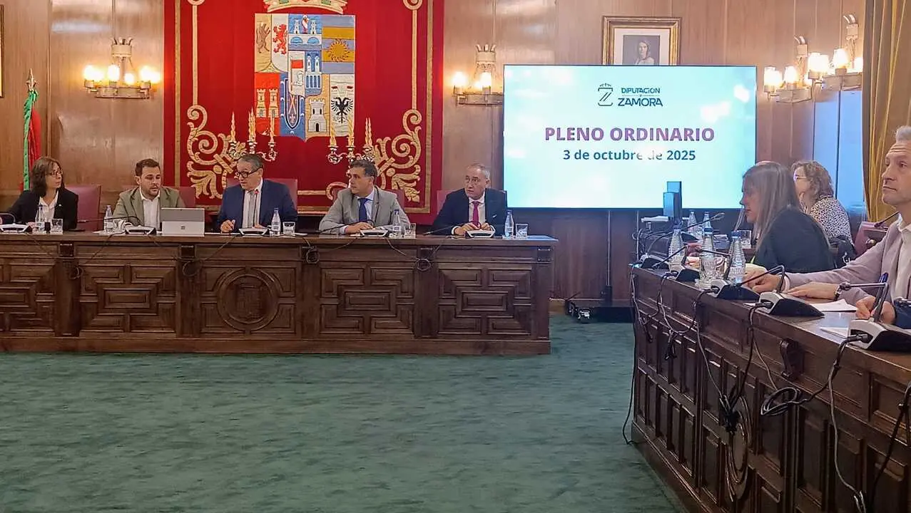 Pleno Diputación
