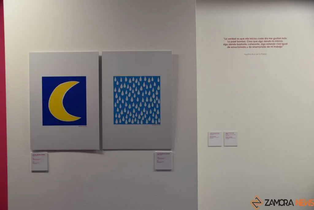 Exposición Agatha ruiz de la Prada_15