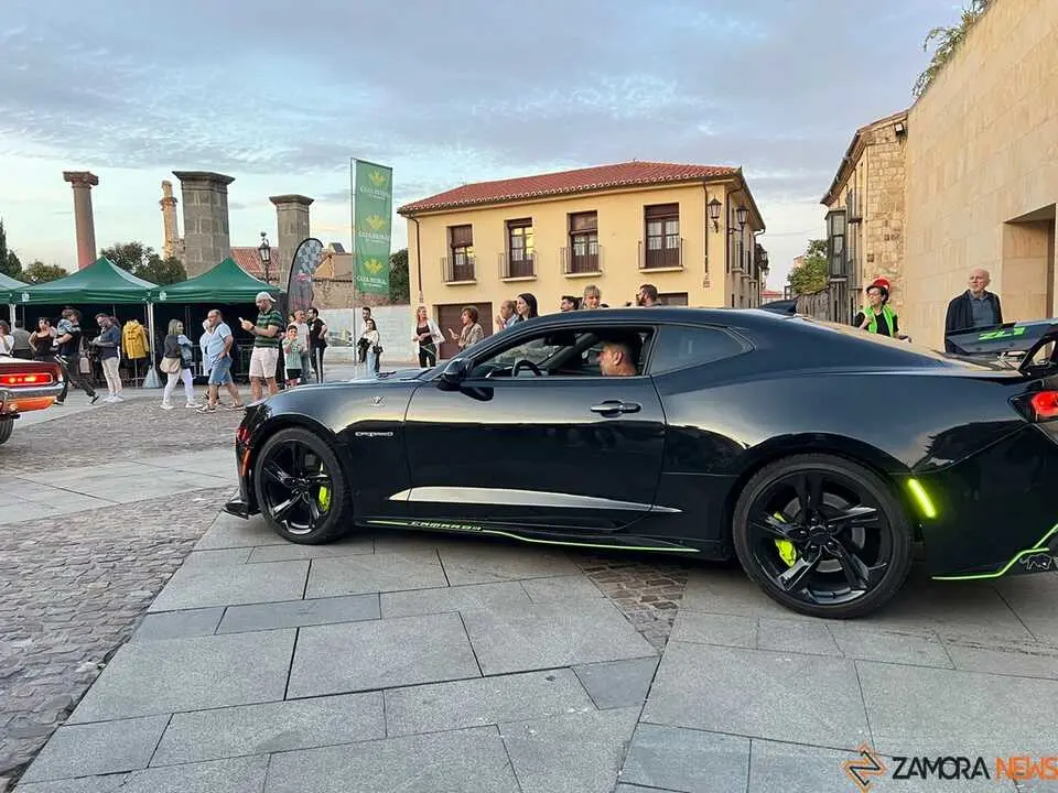 Pure American Style Zamora 