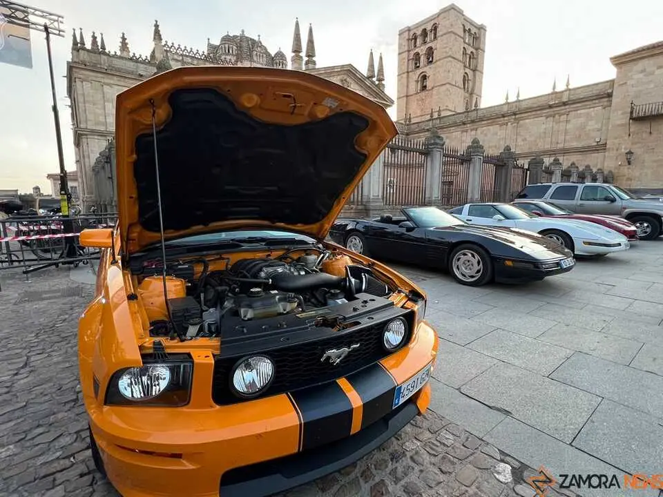 Pure American Style Zamora _2