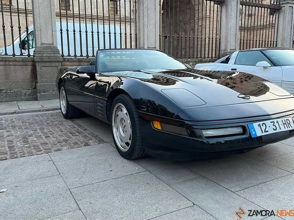 Pure American Style Zamora _3