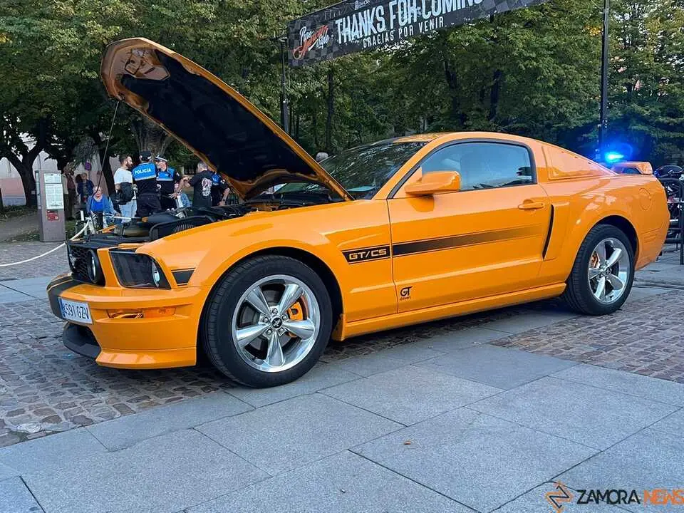 Pure American Style Zamora _4