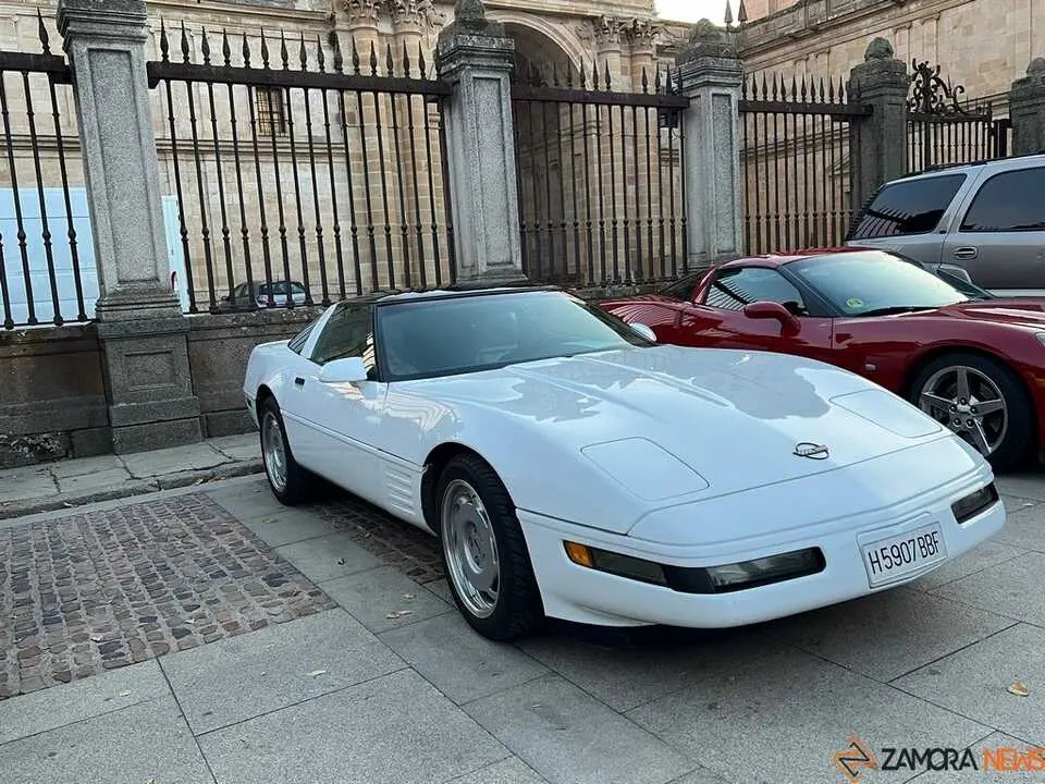 Pure American Style Zamora _5