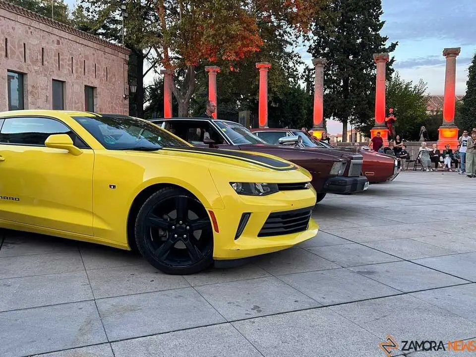 Pure American Style Zamora _6