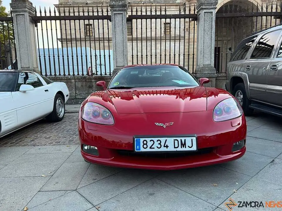 Pure American Style Zamora _7